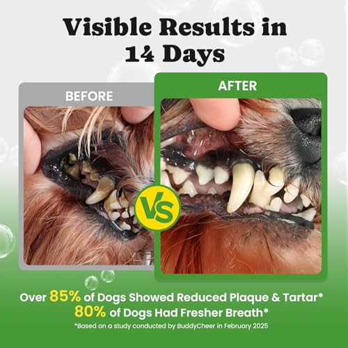 BuddyCheer Dog Teeth Cleaning Powder, Dog Dental Powder and Cats Breath Freshener, Plaque Off Pet Tooth Cleaning lab co, Bad Breath & Tartar Remover for Dogs, Dog Teeth Cleaning with Enzymes- 60-Day Supply -Mint - Image 2
