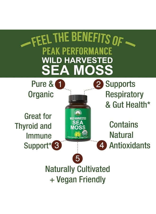Peak Performance Organic Sea Moss Capsules - Wild Harvested Sea Moss Raw Organic Vegan Supplement  - Image 2