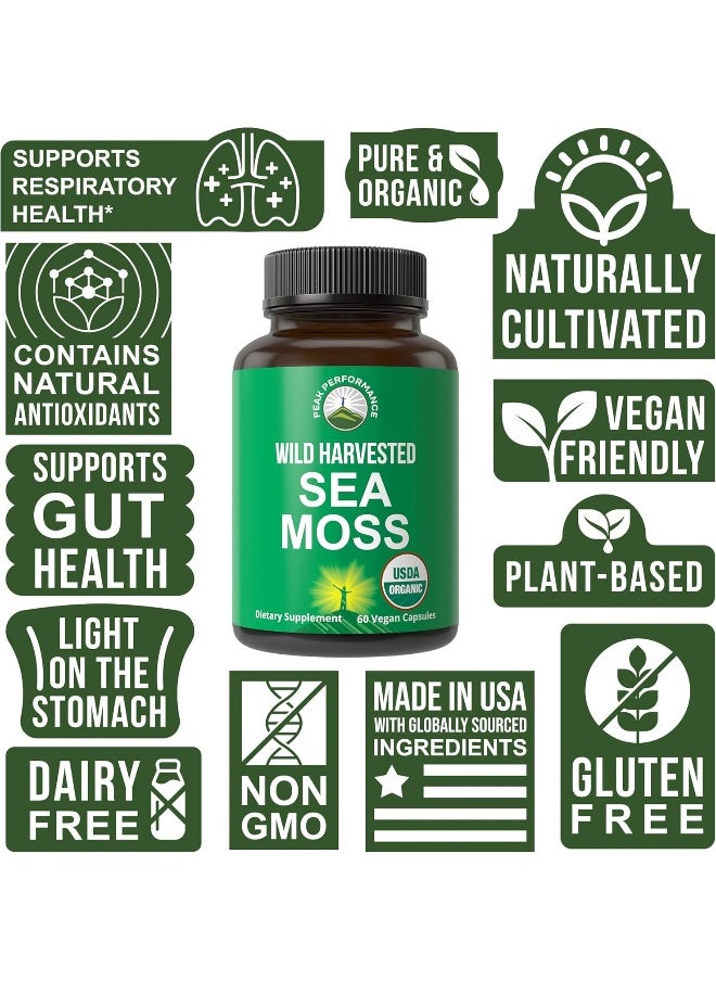 Peak Performance Organic Sea Moss Capsules - Wild Harvested Sea Moss Raw Organic Vegan Supplement  - Image 3