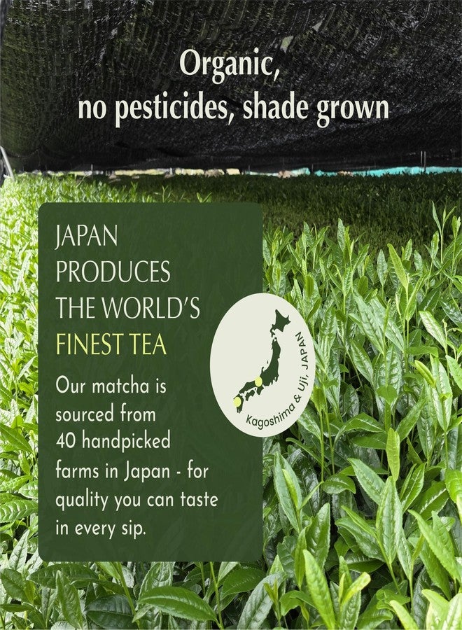 Encha Matcha - Latte Grade Matcha Powder - Unsweetened, First Harvest, Organic Green Tea Powder From Uji, Japan (30G/1.06 Ounce) Premium for Latte, Smoothie - Caffeine, L-Theanine - Image 3