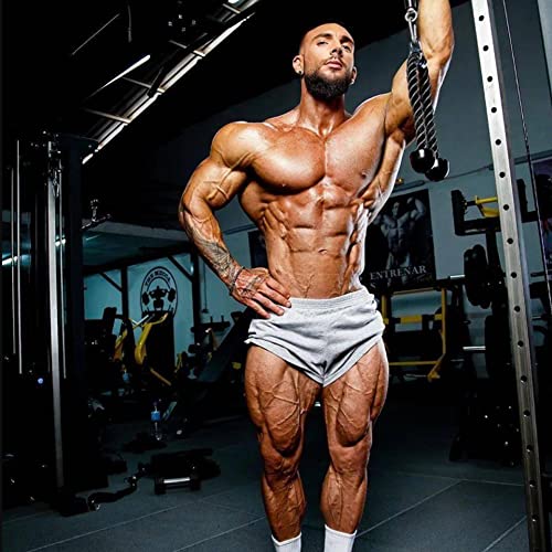 palglg Mens Bodybuilding Workout Shorts 5" Inseam with Pockets PLN Gray XL - Image 4