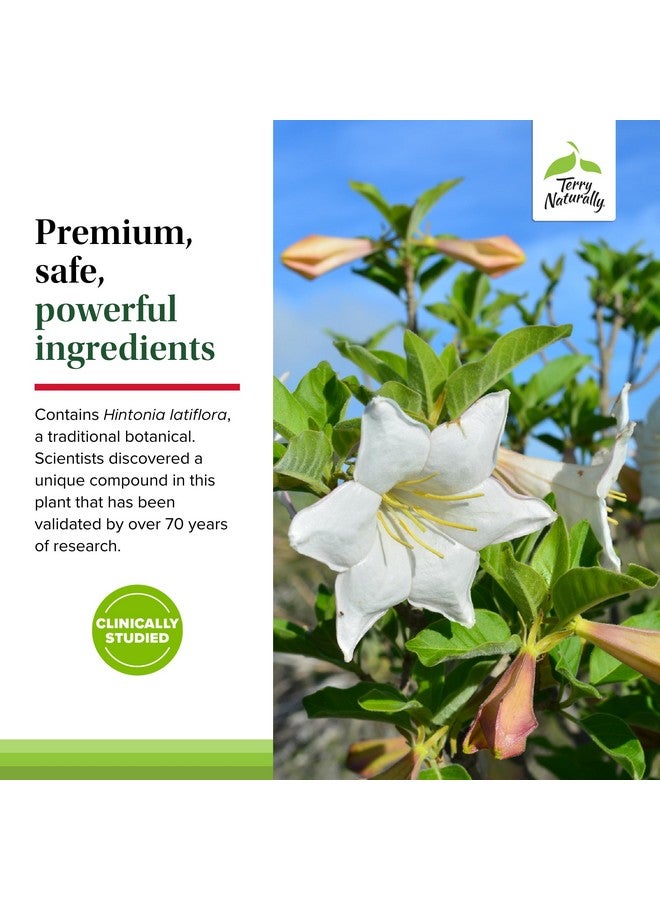 تيري ناتشورالي سوكونترال دي - مكمل فيتامين ب وحمض الفوليك - دعم التمثيل الغذائي للكربوهيدرات - مكمل فيتامين ومعادن بالزنك والكروم - 60 كبسولة (عبوة من 3 قطع) - Image 5