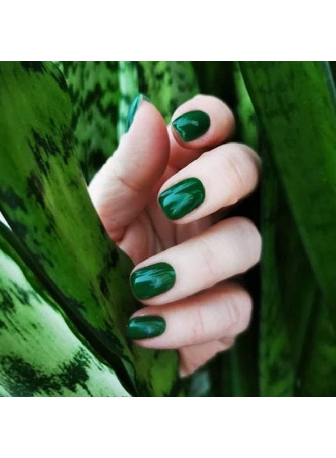 Didier Lab - Studios Gel Polish Dark Forest - Professional Manicure Pedicure Products - Rich Pigment for Complete Nail Coverage - Flawless Shine - Suitable for Beginners - For UV Lamp - Gift for Women - Image 4