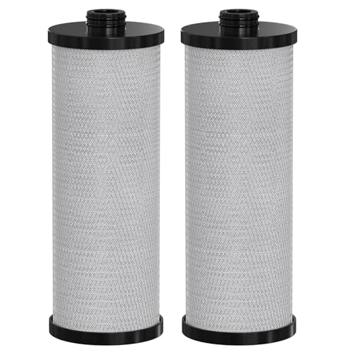 Vickmons KW1 RV Water Filter HighCapacity Replacement Compatible with WaterPur KW1a nd NeoPure NPKW1 for BuiltIn RV Water Filtration Systems 2Pack - Image 1