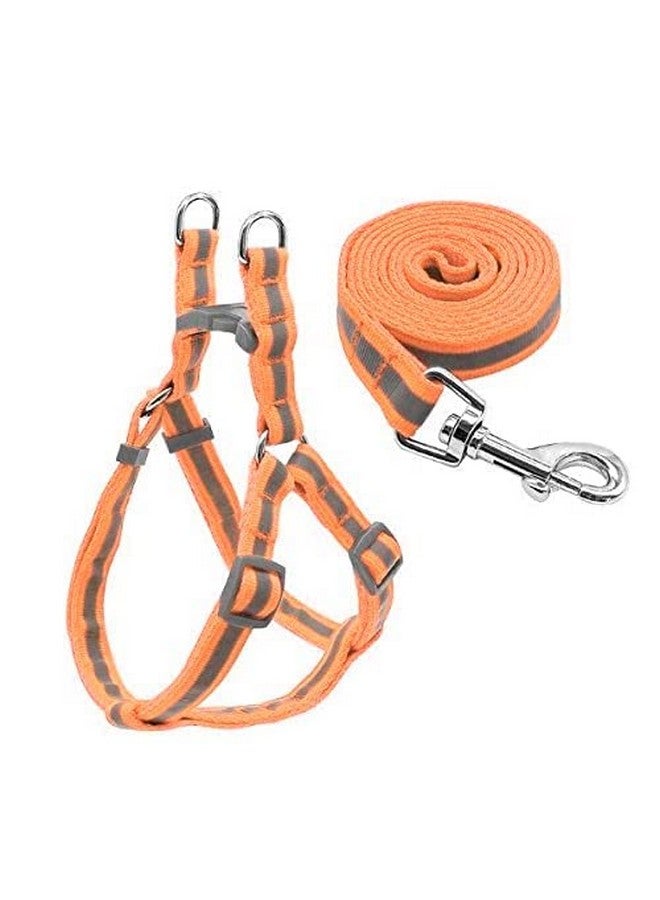 مجموعة حزام ومقود للكلاب بنمط شريط نايلون ناعم مقاس 15 مم من الراديوم/العاكس، مثالية للجراء والكلاب من السلالات الصغيرة (برتقالي) - Image 1