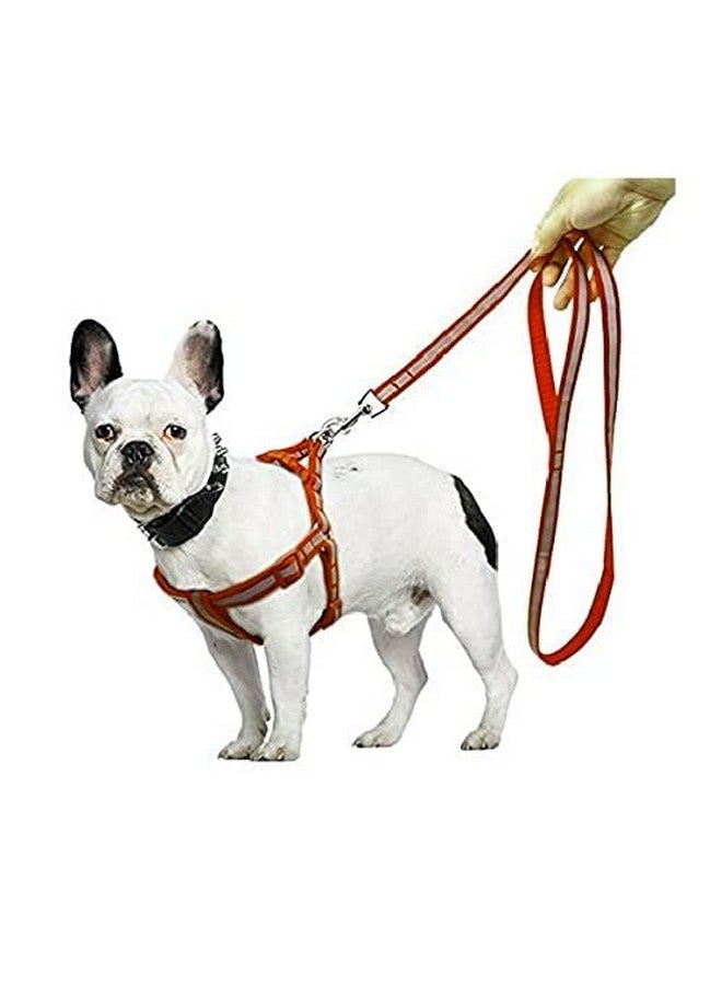 مجموعة حزام ومقود للكلاب بنمط شريط نايلون ناعم مقاس 15 مم من الراديوم/العاكس، مثالية للجراء والكلاب من السلالات الصغيرة (برتقالي) - Image 2