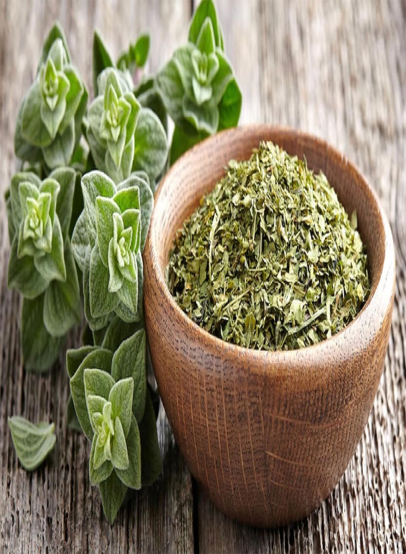 GGOOT Seeds Oregano - Wild Marjoram - Heirloom Herb - GMO Free  - Image 2