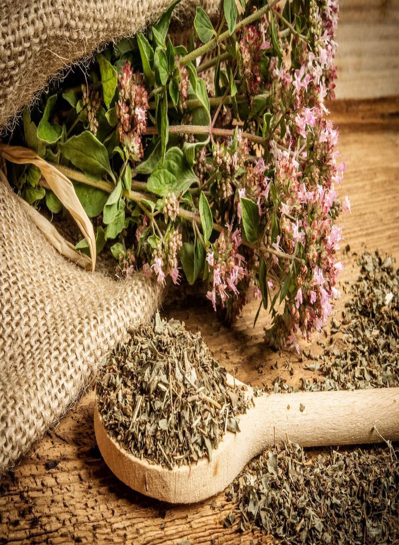 GGOOT Seeds Oregano - Wild Marjoram - Heirloom Herb - GMO Free  - Image 4