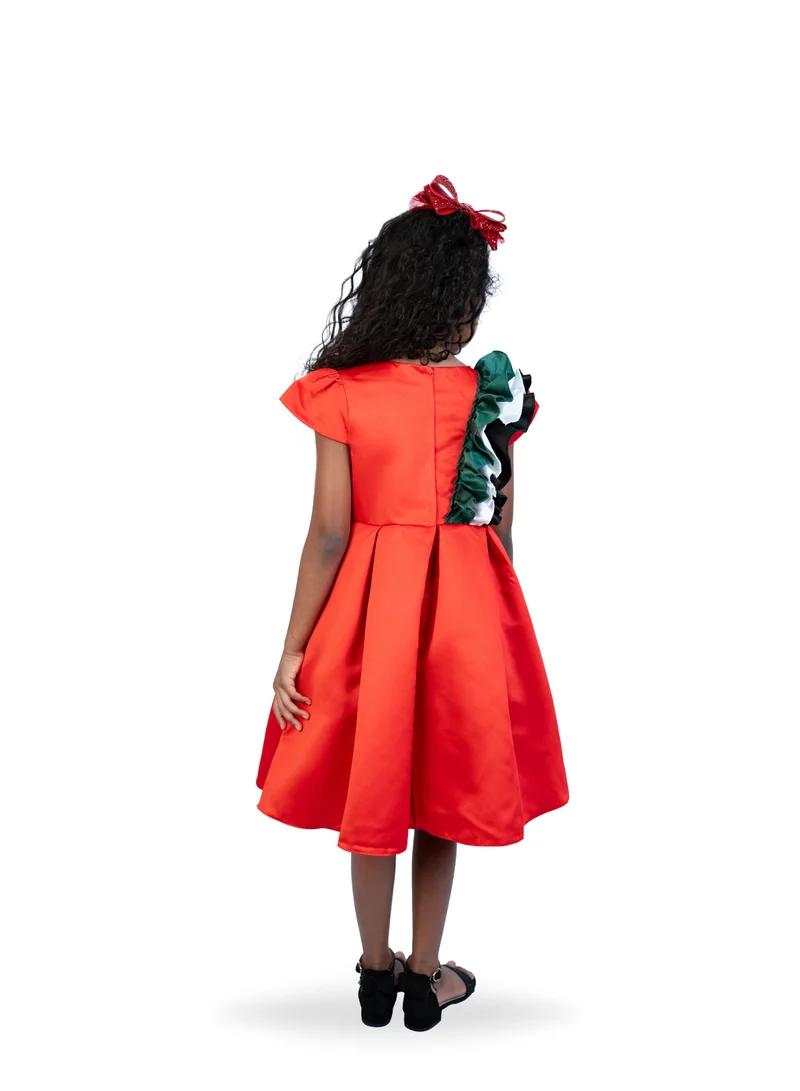 دىدانيالا Ruffled A-Line Dress