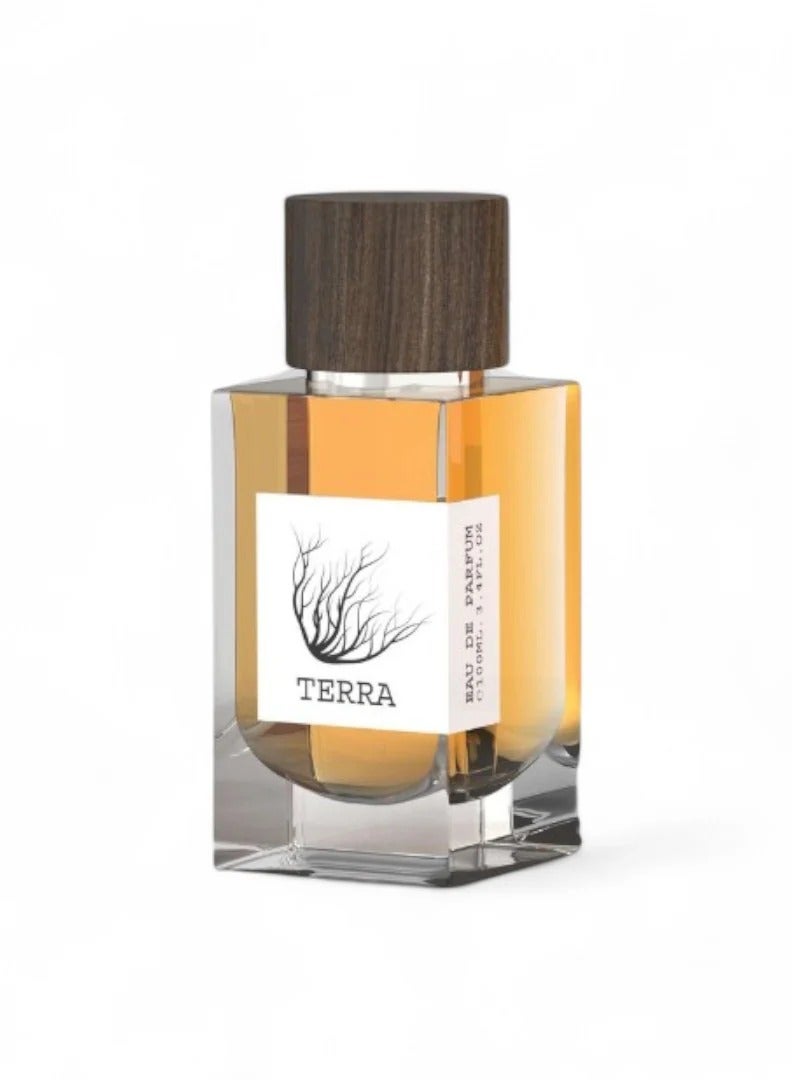 امبر تيرا او دي بيرفيوم للجنسين - 100 مللي - Image 3