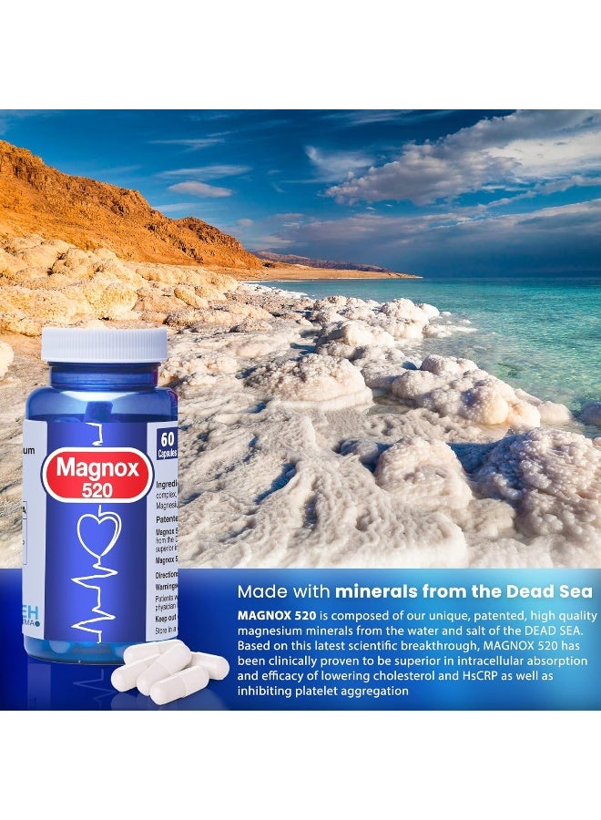 MAGNOX 520 Magnesium Supplement Kosher, Vegan & Gluten Free Magnesium Supplements For Men & Women High Absorption Magnesium For Sleep & Muscle Pain Relief, 1 Dose A Day 60 Magnesium Caps, 520Mg - Image 3