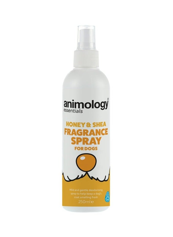 animology Essentials Honey And Shea Fragrance Dog Spray - Image 1