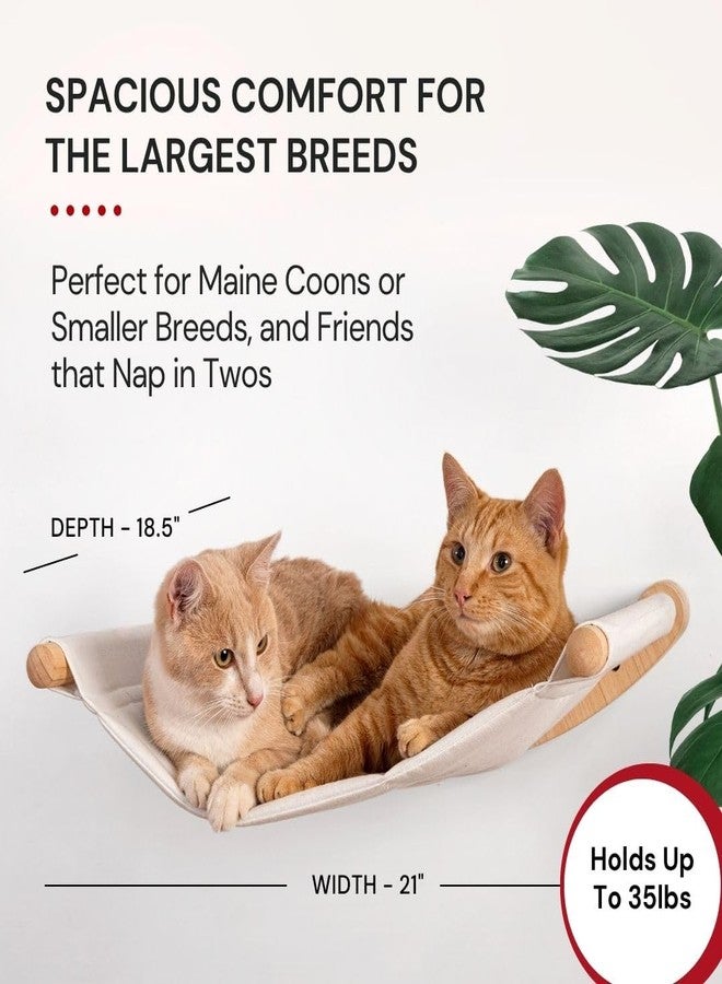 7 Ruby Road Cat Hammock Wall Mounted for Large and Indoor Cats or Kitty, Cute Bed Perch Shelf for Sleeping, Climbing and Lounging, Modern Shelves and Perches, Wooden Mount Cat Wall Furniture & Beds - Image 3