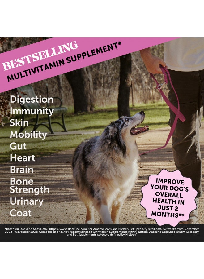 PETHONESTY Pet Honesty 10 in 1 Dog Multivitamin - Fish Oil for Dogs, Dog Vitamins and Supplements - Glucosamine for Dogs, Probiotics, Omega Fish Oil - Dogs Health & Heart - Dog Skin and Coat Supplement (90 ct)  - Image 2