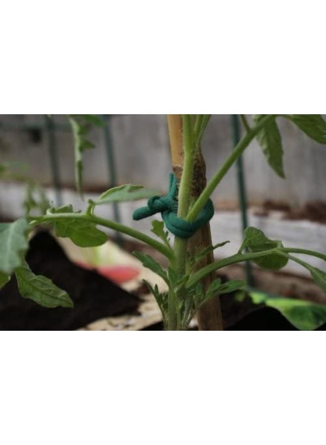 Biostretch , Soft Stretchy Garden Twine | Environmentally Friendly And Supporting Plant Ties | Smart Non-Twist Wire Plant Ties | Flexible Cut-To-Length Plant Tape (Bio Roll (Green) X 1)  - Image 3
