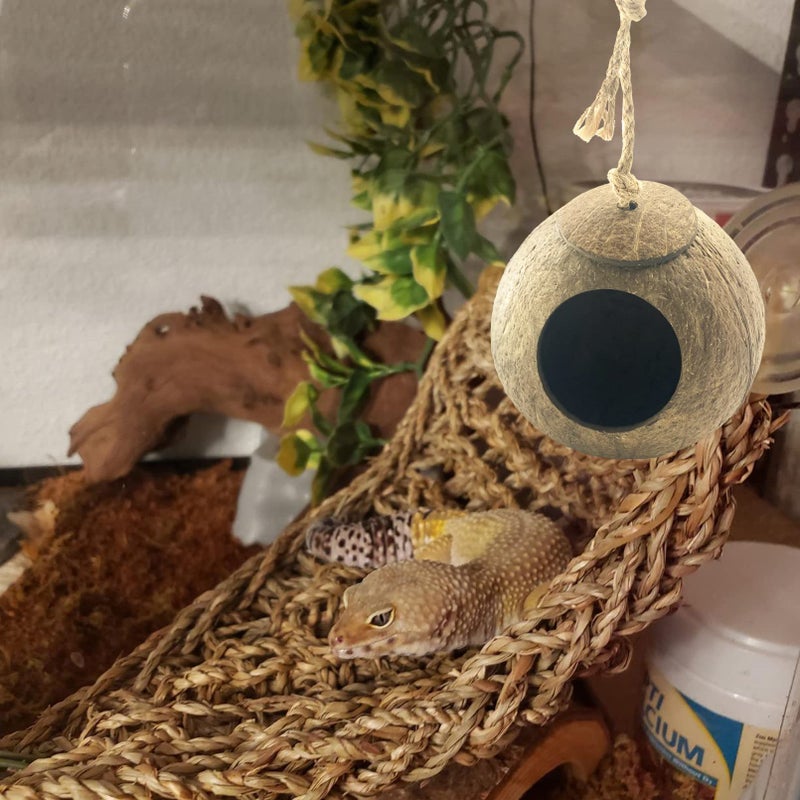 MUYG Crested Gecko Coconut Hut,Leopard Gecko Natural Coco Shell Den Reptiles Habitat Durable Hanging Cave Hideouts Plants Climbing Decoration for Amphibians and Small Animals(4 Pcs) - Image 4