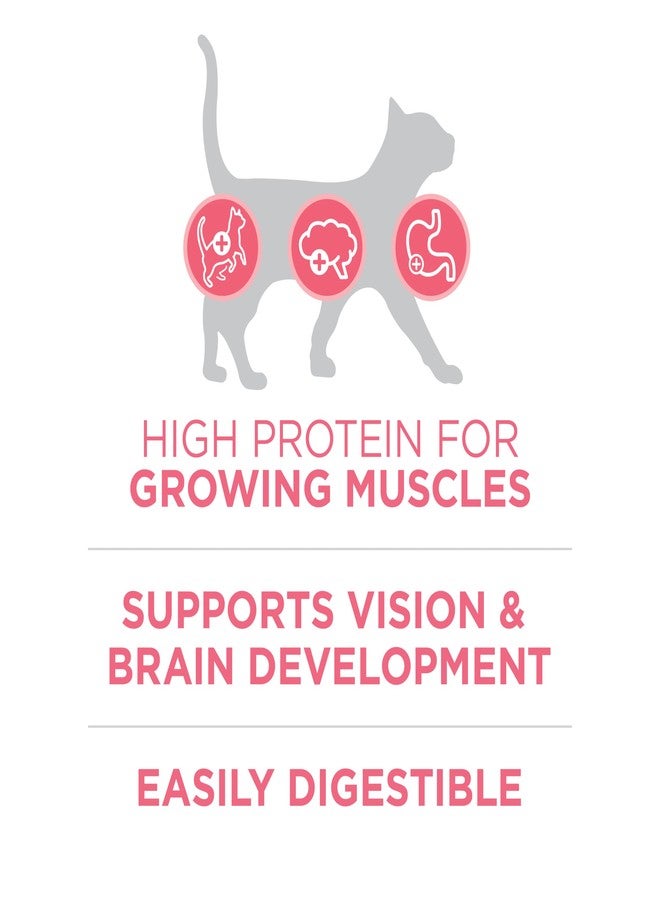 بيورينا ون بورينا ون، طعام جاف طبيعي عالي البروتين للقطط الصغيرة، تركيبة صحية للقطط الصغيرة - كيس 3.5 رطل - Image 5