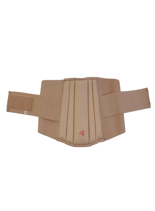 SpiffySky Classic Lumbar Support Belt, Back Support Belt, Lower Back Pain Relief Belt for Men and Women, With Double Strapping Design (Beige Color and with Magnet)-Small - Image 3