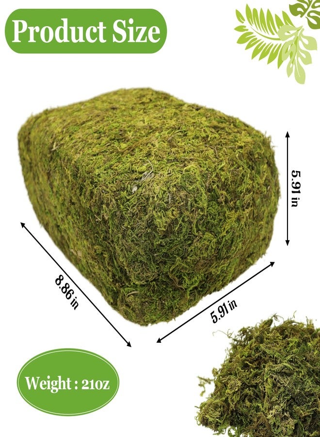 Riare 1.3LBS Artificial Fake Moss for Fake Plants Indoor- Premium Faux Craft Moss for Potted Plant, Fresh Green Moss Forest Moss for Hamsters Micro-Landscape Terrariums Centerpieces Decor - Image 2