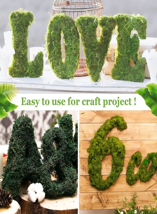 Riare 1.3LBS Artificial Fake Moss for Fake Plants Indoor- Premium Faux Craft Moss for Potted Plant, Fresh Green Moss Forest Moss for Hamsters Micro-Landscape Terrariums Centerpieces Decor - Image 5