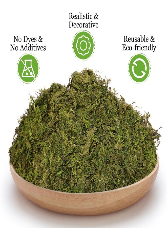 Riare 1.3LBS Artificial Fake Moss for Fake Plants Indoor- Premium Faux Craft Moss for Potted Plant, Fresh Green Moss Forest Moss for Hamsters Micro-Landscape Terrariums Centerpieces Decor - Image 3
