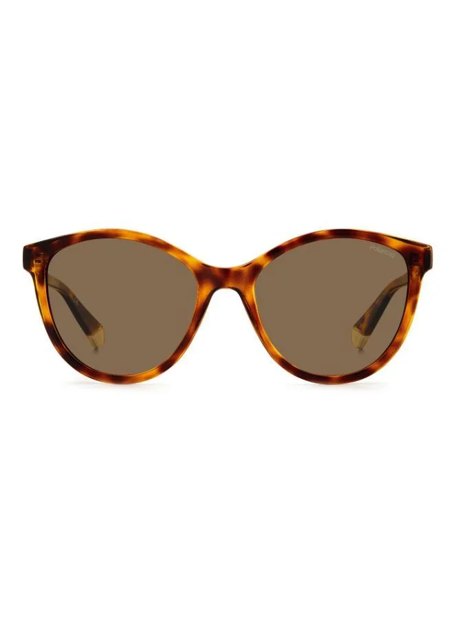 بولارويد نظارة شمسية بإطار وايفارير