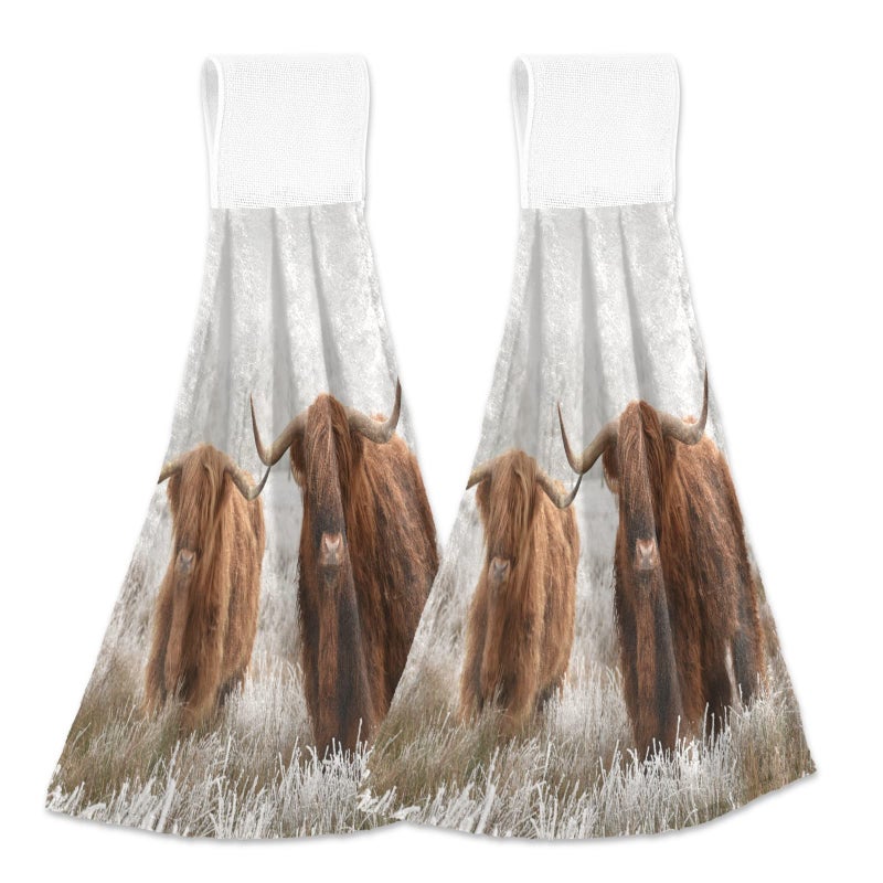 JUNZAN JUNZAN Scottish Highland Cow Kitchen Hand Towel 2Pieces Super Soft Absorbent Western Deco Hanging Tie Towels Dishcloth for Bathroom Tea Bar Tabletop Farmhouse Beach - Image 1