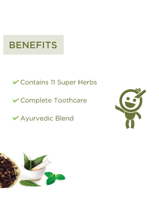 VITRO Fluoride Free Toothpaste with Meswak, Vajra danti and Neem Extract | Herbal toothpaste with extracts of 12 herbs for complete toothcare | Helps with Bad breath and Gum Problems - Image 5