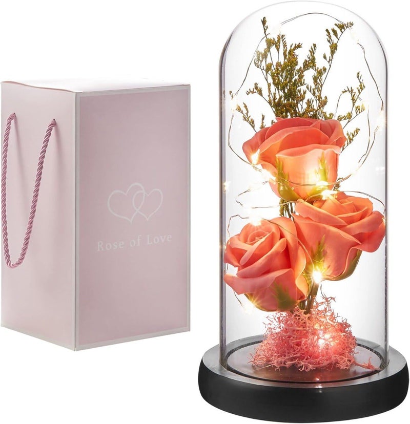 BIYALI Preserved Flower Gift Light Up Rose in Glass Dome Eternal Forever Rose Flower Grandma Mothers Day Valentines Day Anniversary Birthday Christmas Decorations 1Pcs - Image 1