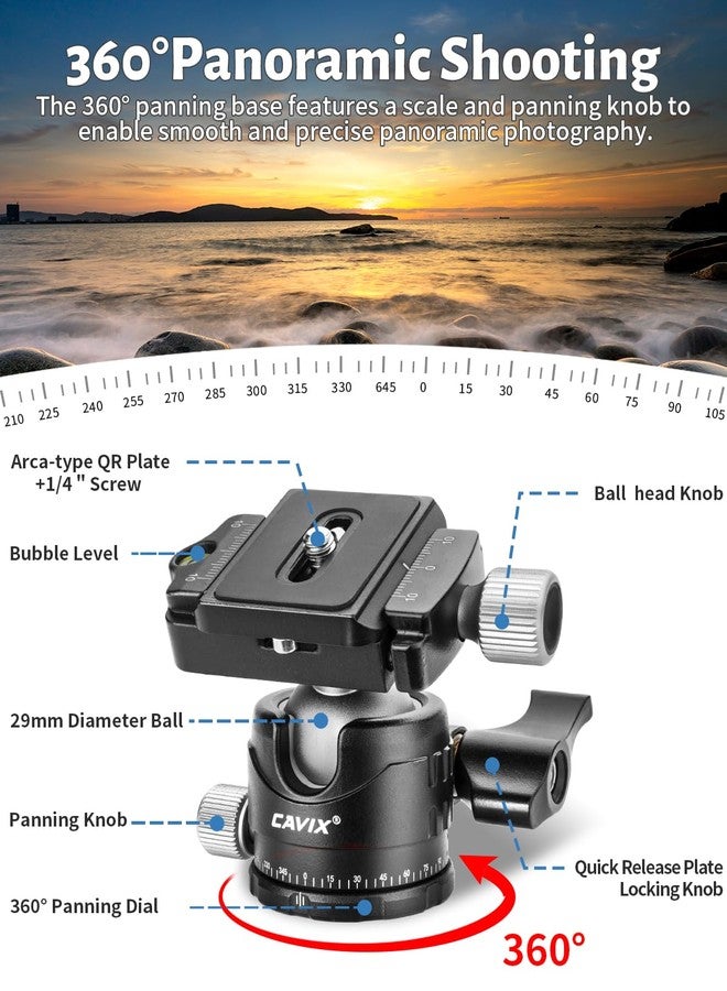 CAVIX Ball Head Mount with 1/4" Screw Arca Type Quick Release Plate 360 Degree Swivel Tripod Ball Head Loading 22lb/10kg - Image 3