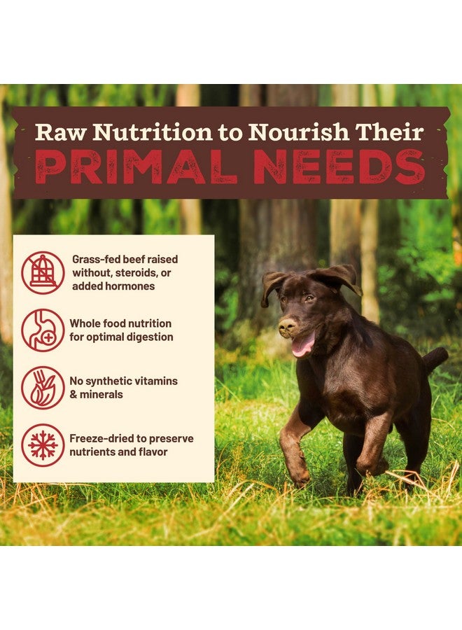 Primal Pet Foods Primal Kibble in The Raw, Freeze Dried Dog Food, Beef, Scoop & Serve, Made with Raw Protein, Whole Ingredient Nutrition, Crafted in The USA, Dry Dog Food 5.4 lb Bag - Image 4
