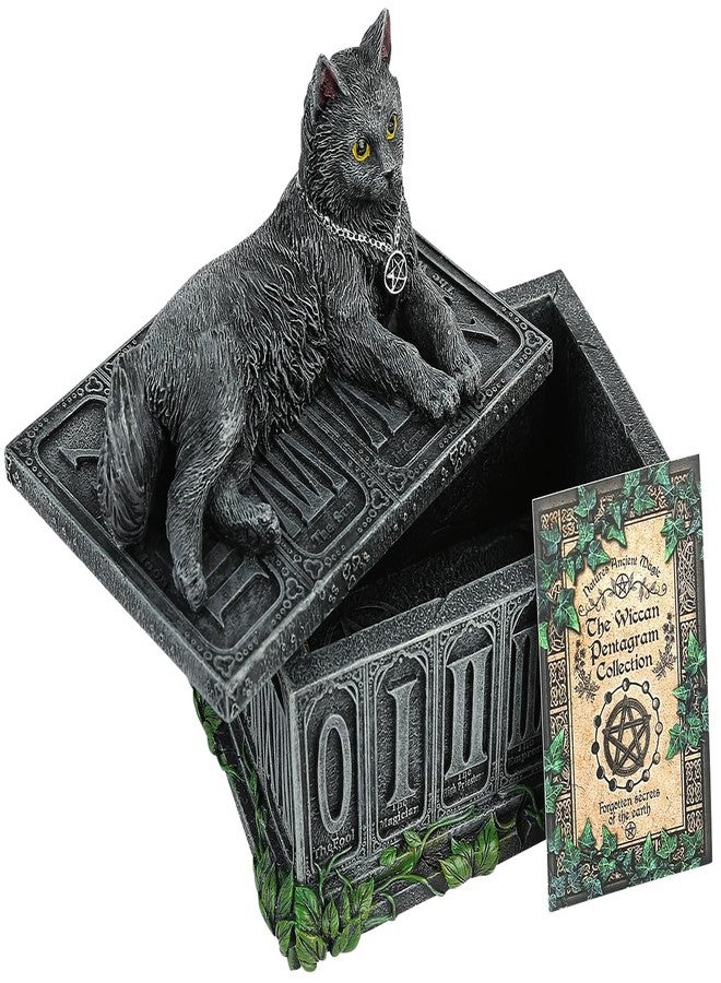 Nemesis Now B2808G6 Fortune's Watcher Tarot Box 17cm Black, Resin - Image 2