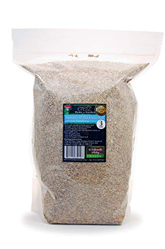 Eretz Kentucky 31 K31 Tall Fescue Grass Seed by Eretz - Choose Size! State Certified, No fillers, No Weed or Other Crop Seeds (3lbs) - Image 1