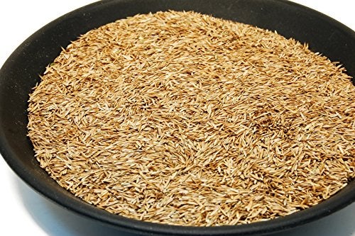 Eretz Kentucky 31 K31 Tall Fescue Grass Seed by Eretz - Choose Size! State Certified, No fillers, No Weed or Other Crop Seeds (3lbs) - Image 2