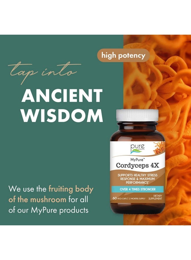 PURE ESSENCE LABS MyPure Cordyceps 4X Mushrooms - Concentrated Cordyceps Mushroom Powder Supplements for Immune System, Stress Response, Physical & Mental Performance - 2 Months Supply - Image 2