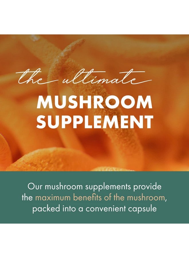 PURE ESSENCE LABS MyPure Cordyceps 4X Mushrooms - Concentrated Cordyceps Mushroom Powder Supplements for Immune System, Stress Response, Physical & Mental Performance - 2 Months Supply - Image 3