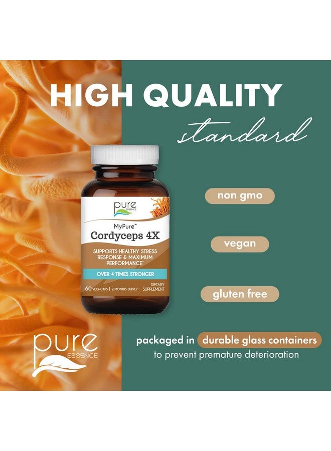 PURE ESSENCE LABS MyPure Cordyceps 4X Mushrooms - Concentrated Cordyceps Mushroom Powder Supplements for Immune System, Stress Response, Physical & Mental Performance - 2 Months Supply - Image 5