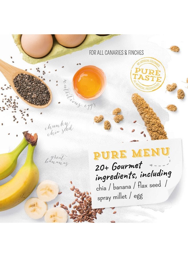 Witte Molen Pure Gourmet Seed and Gourmet Seed Mixture with chia (Yellow-Coated Canary, Goldfinch, Zebra Finch) (Pure Canary or Finch Gourmet Seed Mixture) - Image 3