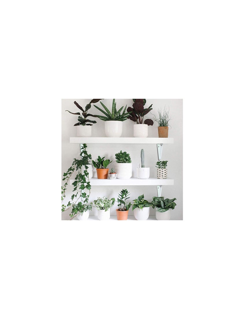 ROBUSTLINE Robustline 24 Pcs White Shelf Brackets 10" x 12" Inch, Heavy Duty L Bracket Corner Brace Support, Metal Joint Angle Bracket for Hanging, Floating Shelves Bracket for Shelf.  - Image 3