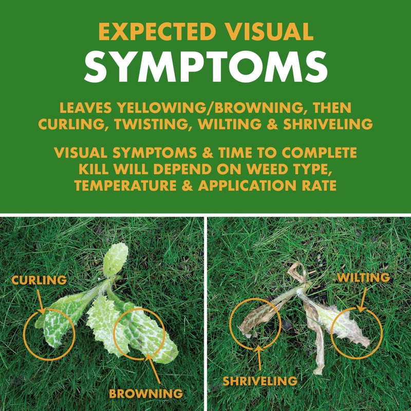 Spectracide Weed Stop For Lawns Plus Crabgrass Killer, AccuShot Sprayer, 1.33 gallon - Image 5