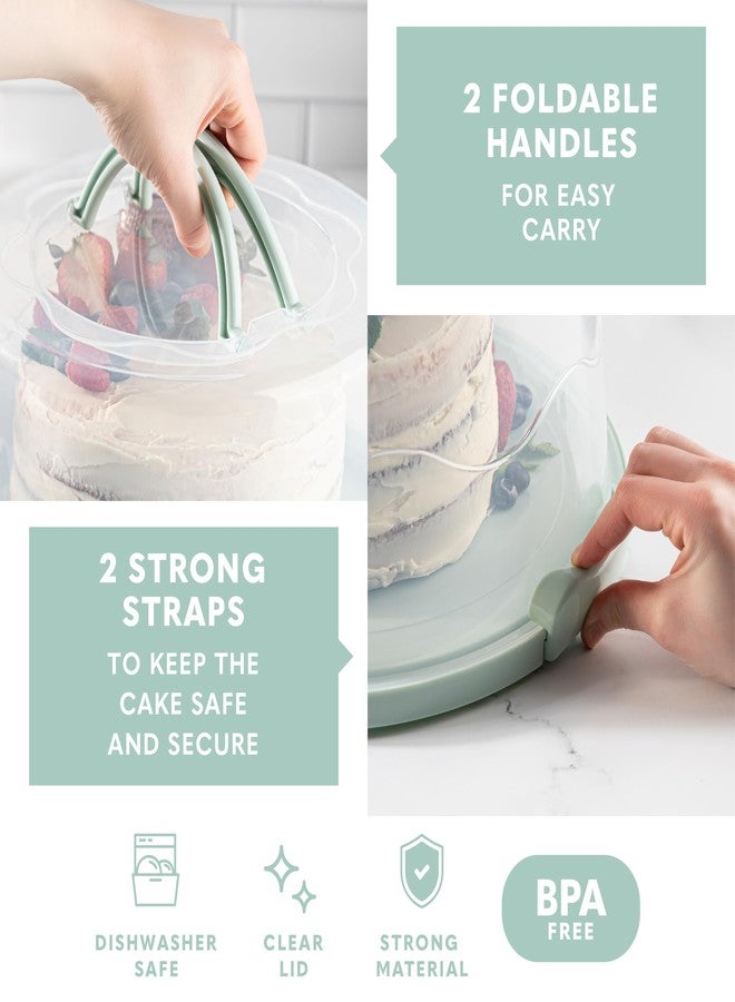 MosJos XL Green Cake Carrier - Image 2