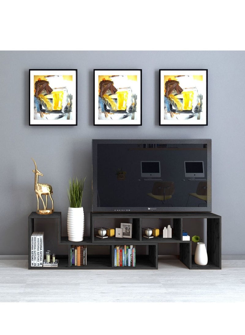 Home Gallery Multipurpose Functional TV Stand - Image 3