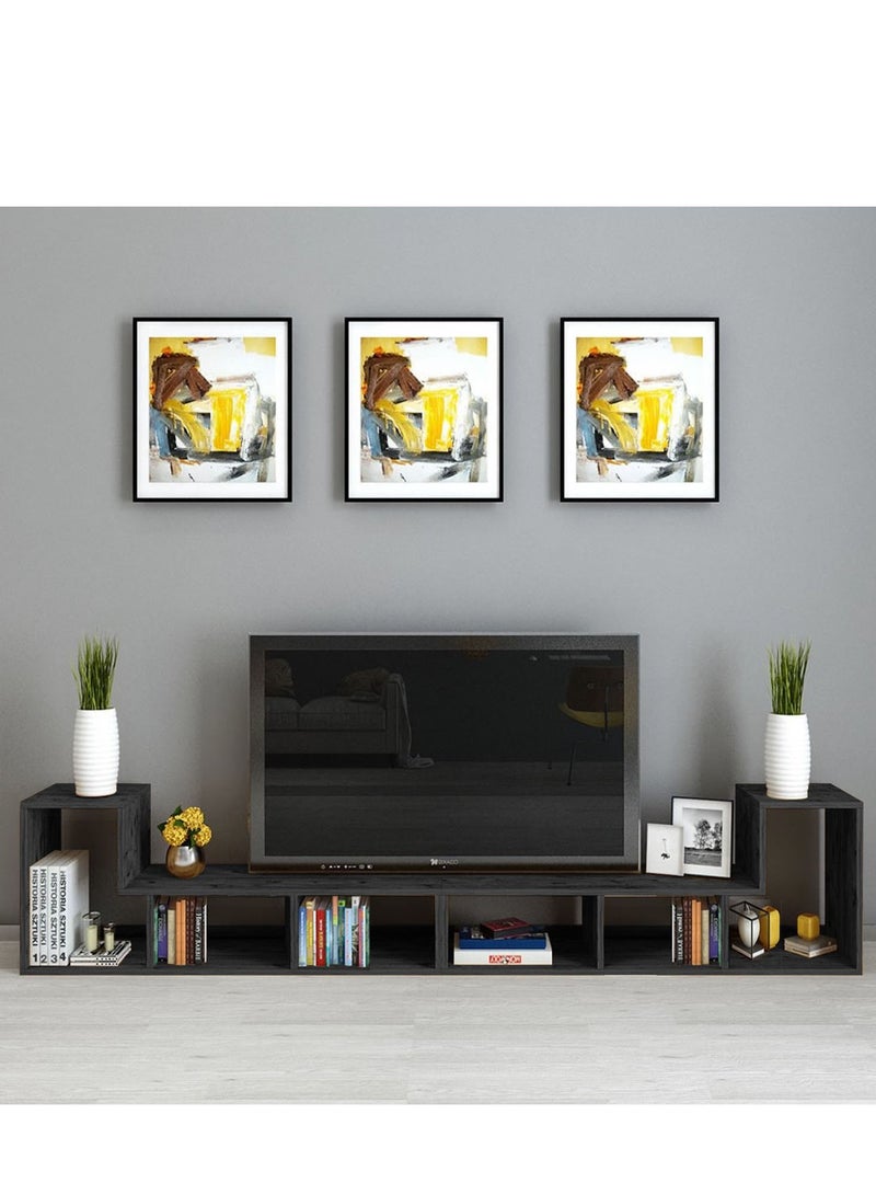 Home Gallery Multipurpose Functional TV Stand - Image 2