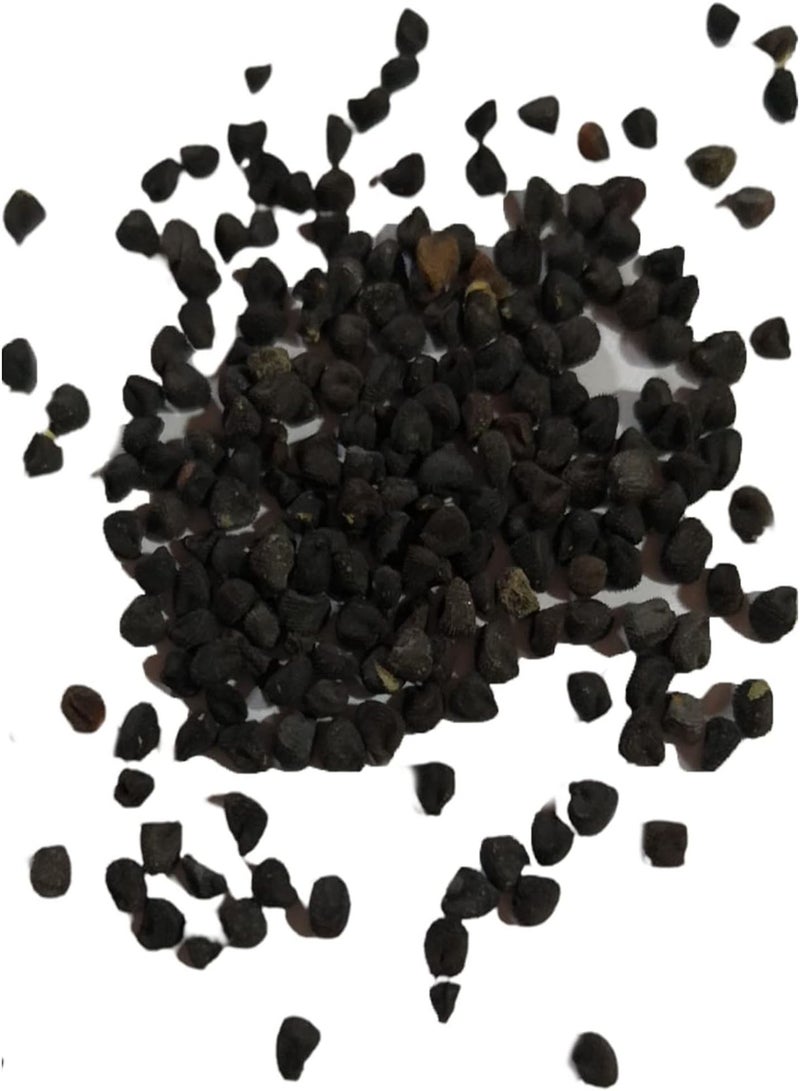 جي جوت 150 قطعة من بذور الكاري، بذور خضراوات طازجة عالية الغلة، بذور نباتية، هدية للزراعة الداخلية والخارجية، بذور الكاري - Image 5