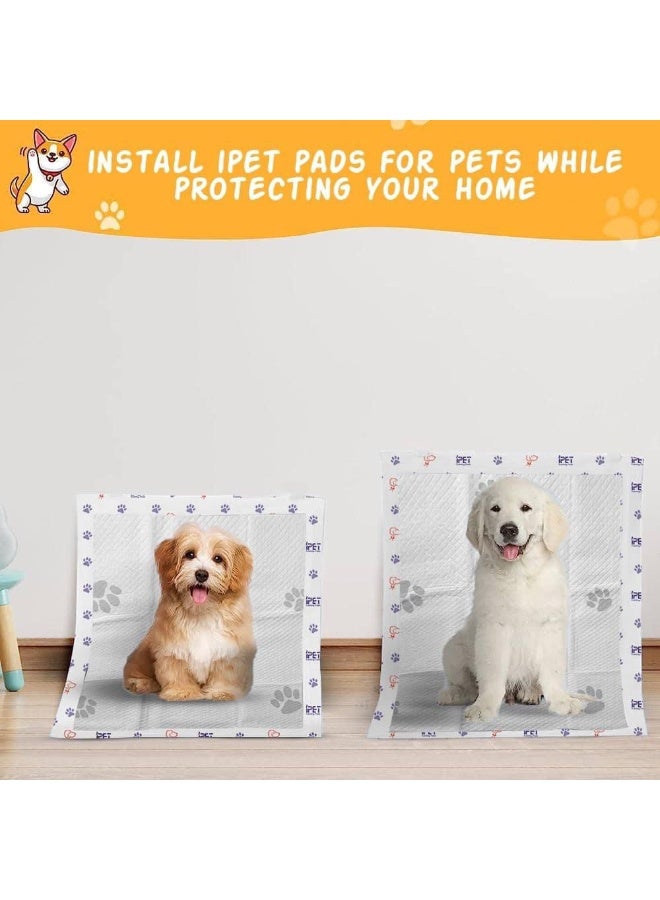 iPET Training Pads with Adhesive Strips - Image 3
