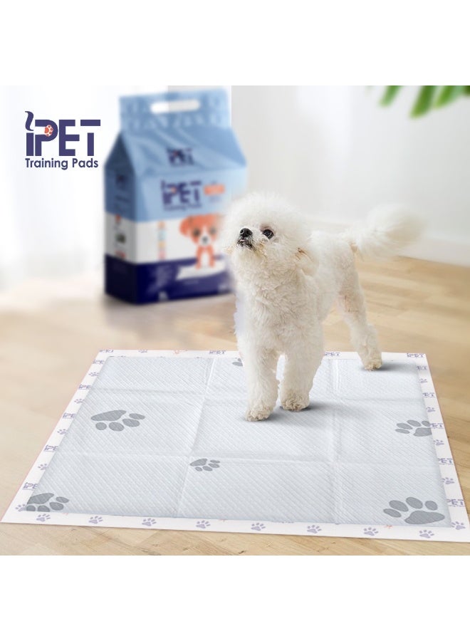 iPET Training Pads with Adhesive Strips - Image 2