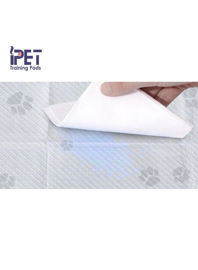 iPET Training Pads with Adhesive Strips - Image 4