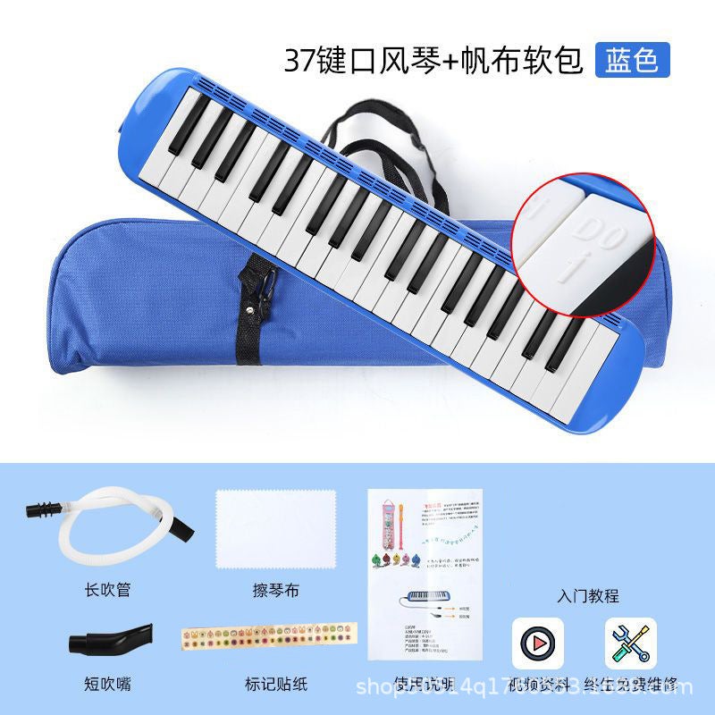 Generic Kids 32-Key Accordion with Oxford Bag37 key soft bag blue 37 key soft bag blue 