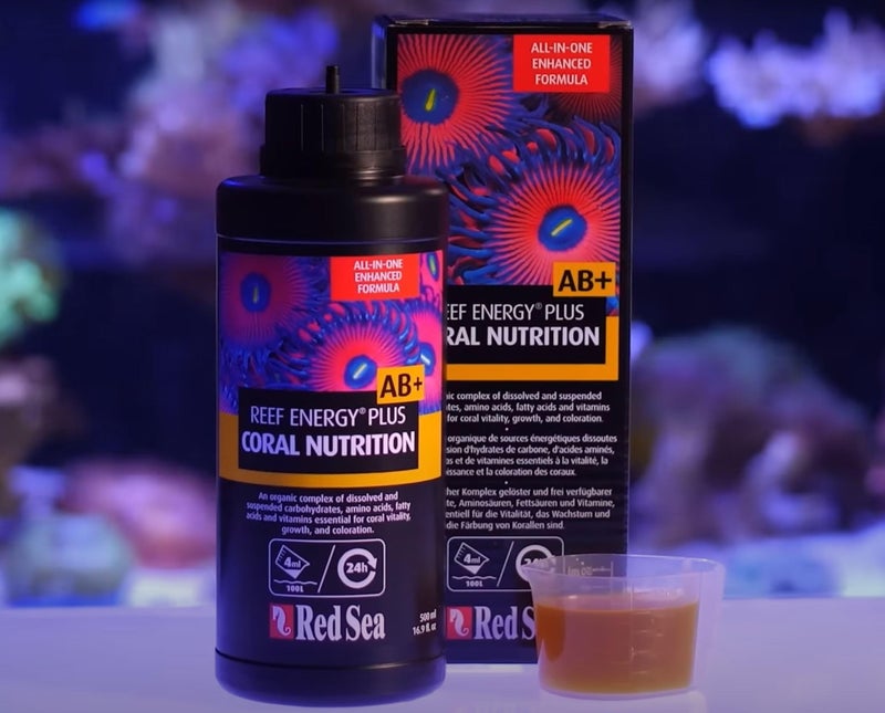 Red Sea Reef Energy Plus 1000ml (AB+) All in One Coral Food for Saltwater Aquarium Marine Reef Tanks | Food for Soft, LPS, SPS, and Non-Photosynthetic Corals - Image 5