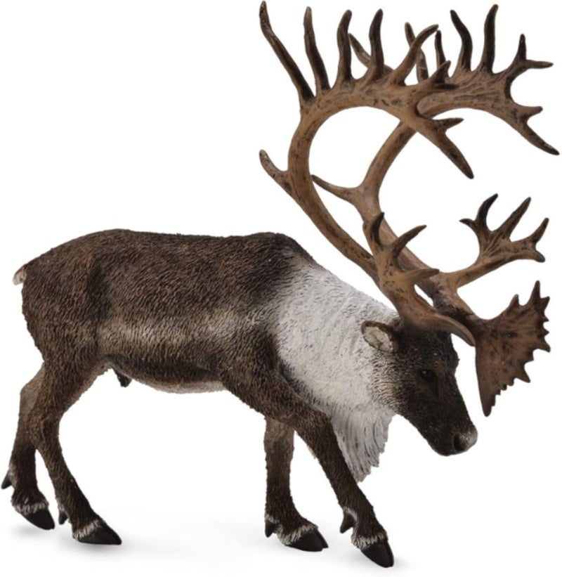 Woodland Caribou